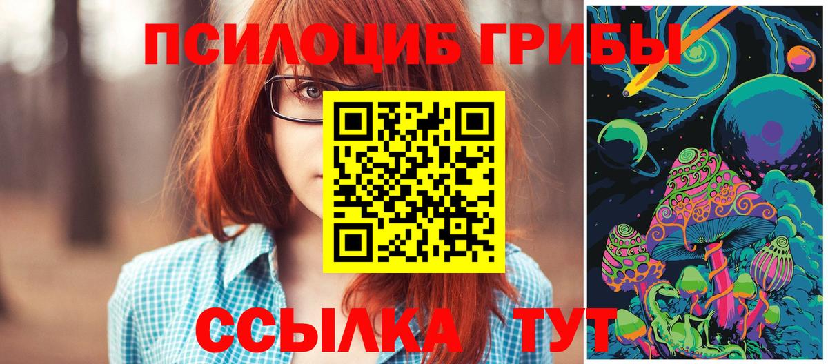 где купить наркоту  Вход с VPN  Кузнецк  Псилоцибиновые грибы Psilocybe  Галлюциногенные грибы Psilocybine cubensis 
